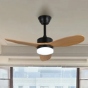 Vintage Fan Lights