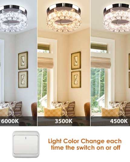 9.8'' round LED Ceiling Light