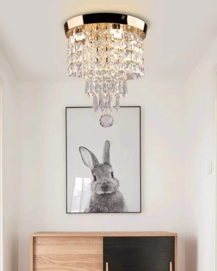 Mini LED Round Crystal Ceiling Lamp