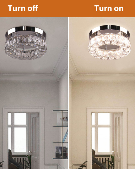9.8'' round LED Ceiling Light