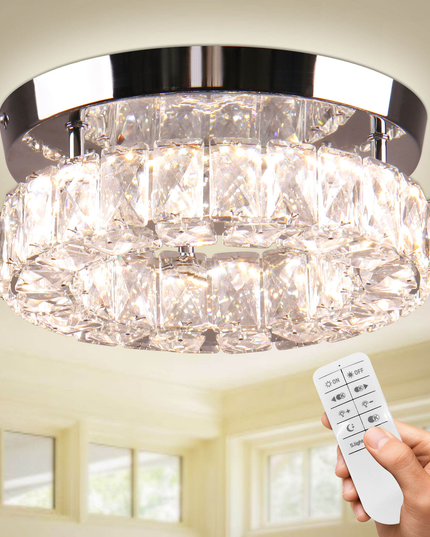 9.8'' round LED Ceiling Light